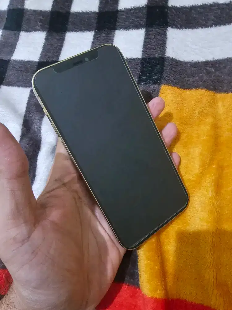 Iphone 12 pro 128 inter Siap reset AL sim fulset mulus normal bs tt