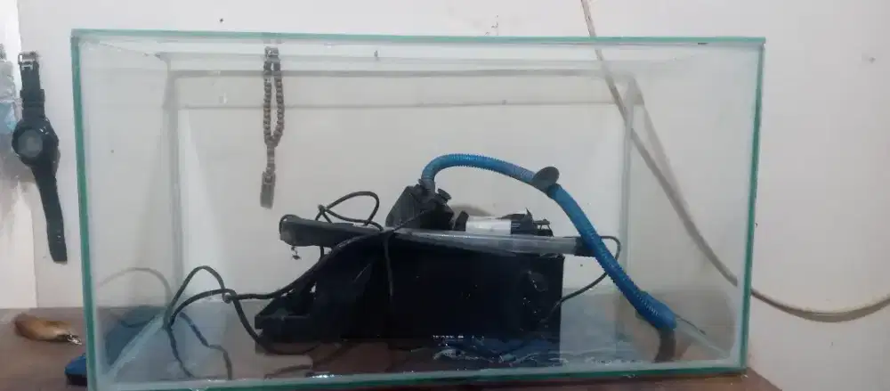 Jual Aquarium Ikan