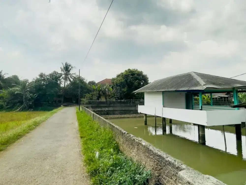 Dijual Murah Tanah + Bangunan + Kolam Ikan di Cibatu Purwakarta