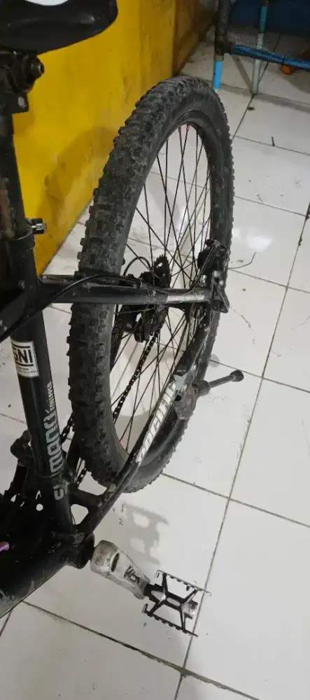 Sepeda gunung, Pacific