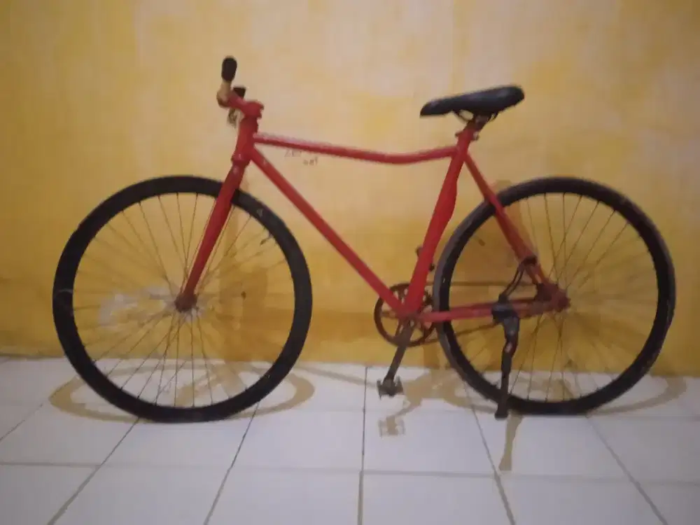 Sepeda cocok bagi yang pencinta goes