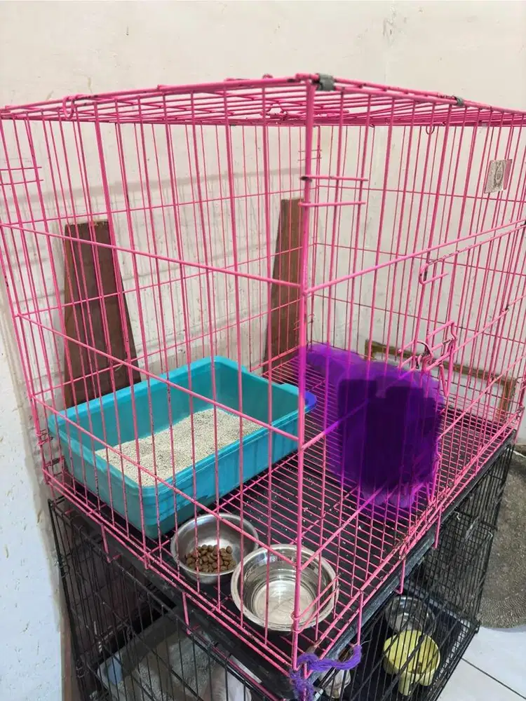 kandang kucing lipat