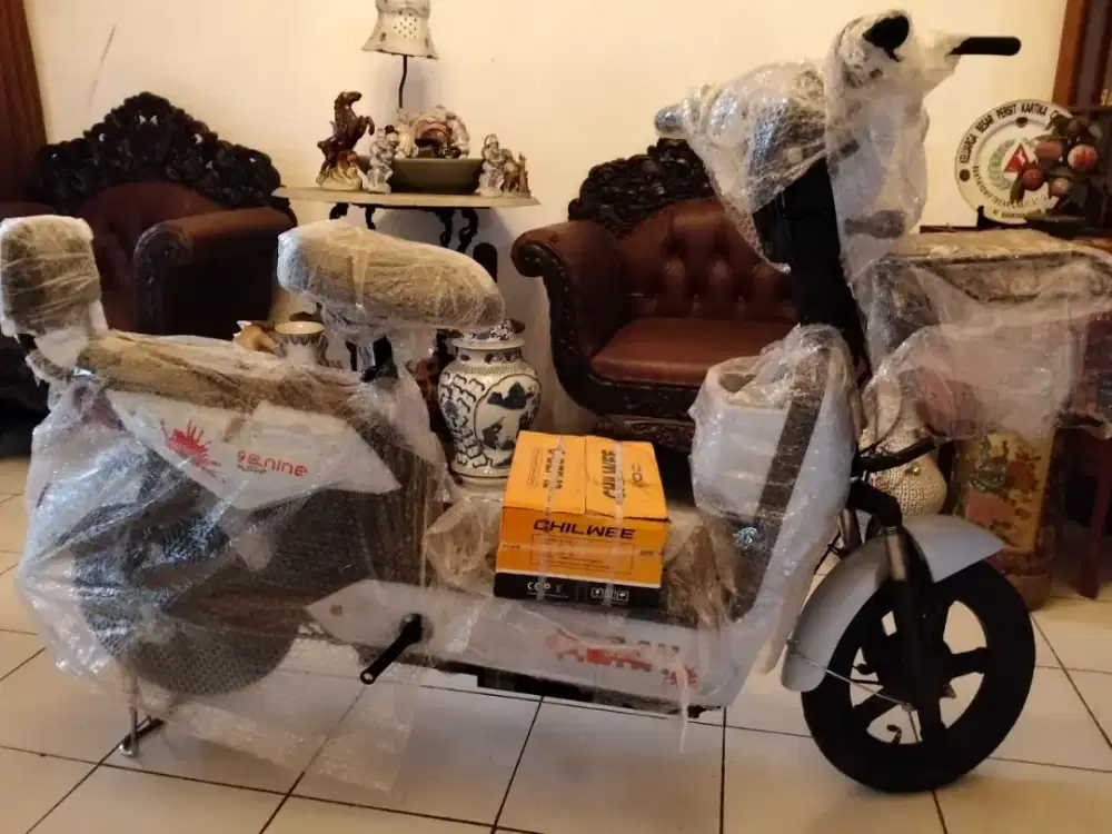 Sepeda listrik 9 E NINE