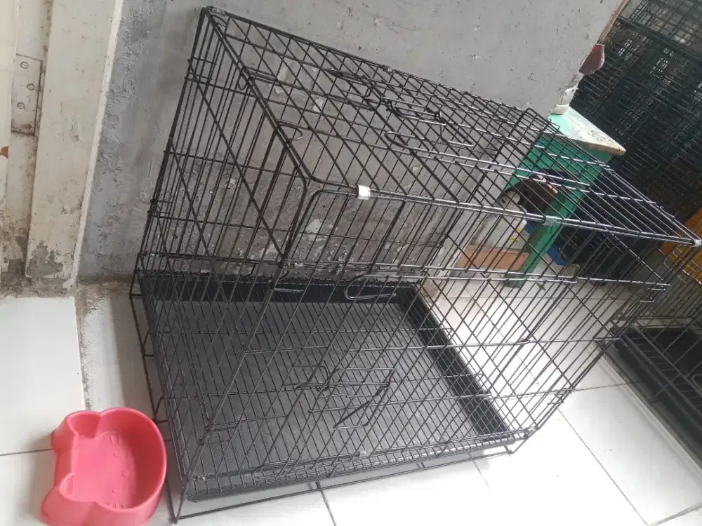 Kandang kucing lipat