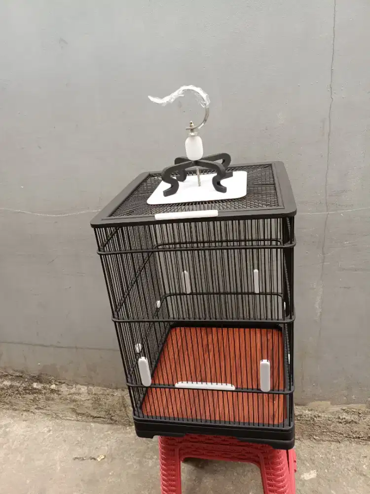 Kandang burung cungkok lokal