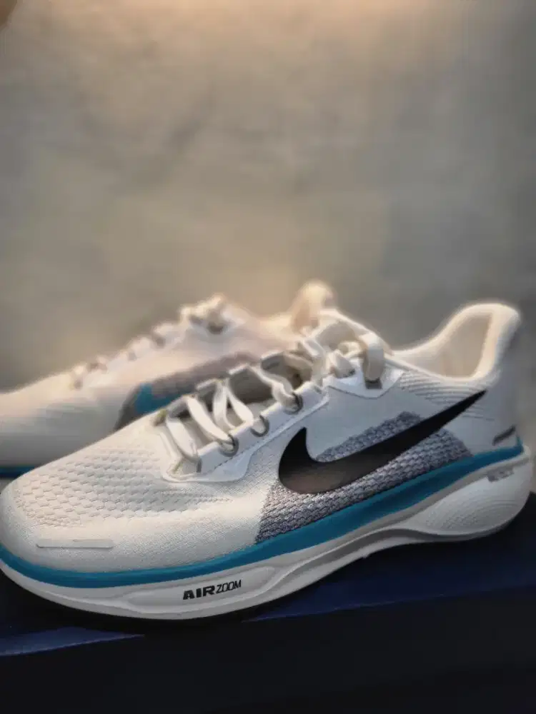 Nike air zoom pegasus