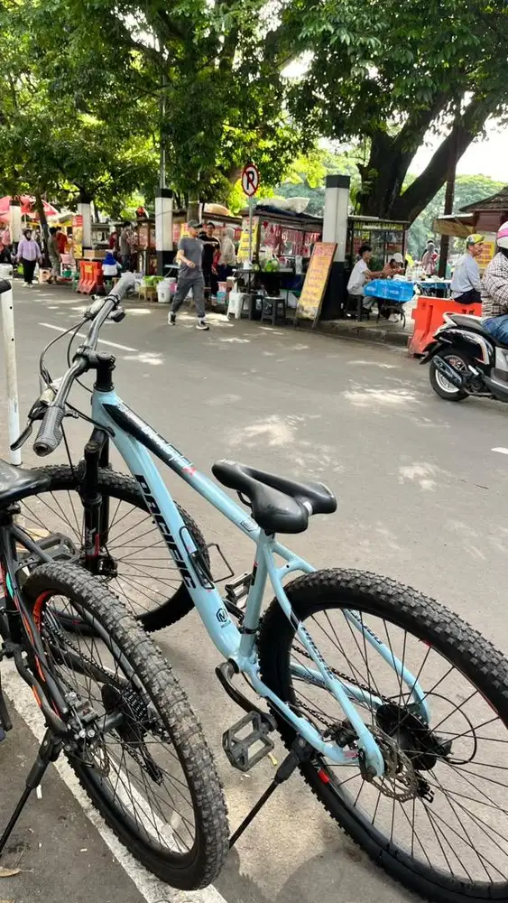 Sepeda Gunung Pasific Vigilon 3.0