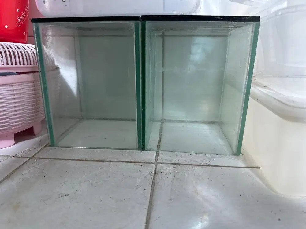 AQUARIUM CUPANG KACA