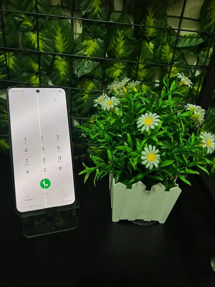 Samsung Galaxy S21 Fe 8/256Gb