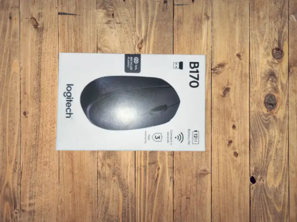 Mouse Logitech B170
