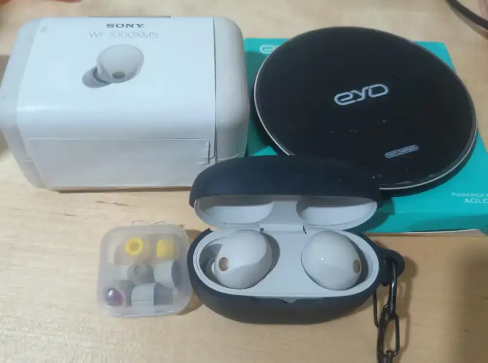 TWS Sony WF-1000XM5 Silver Bekas