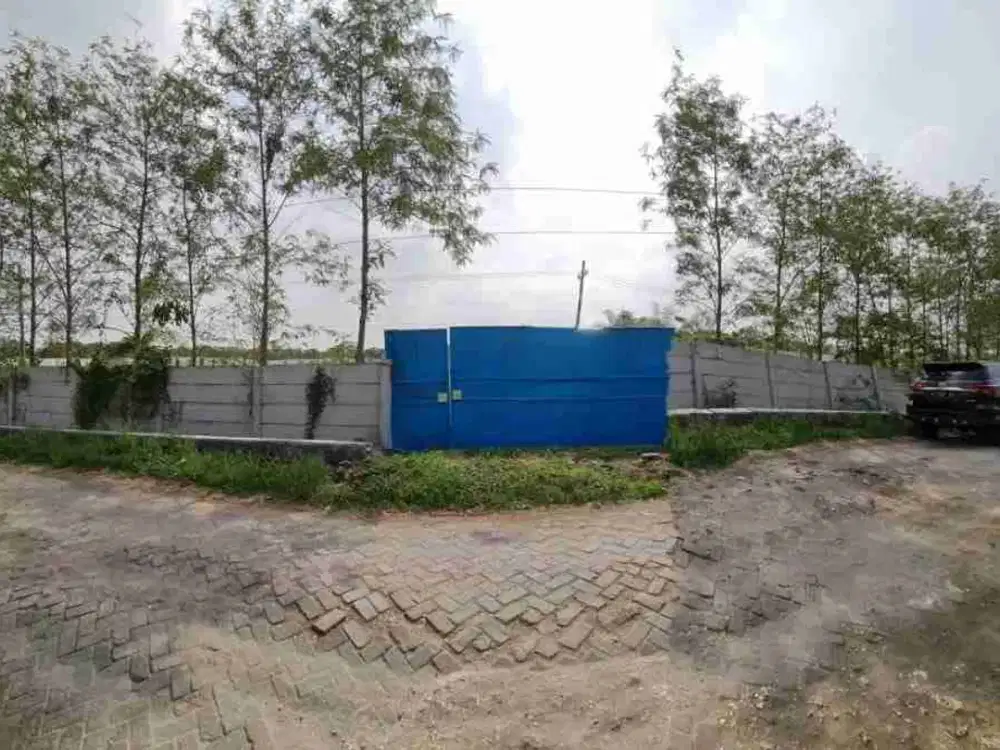 Butuh Cepat Dijual Tanah Cerme Gresik