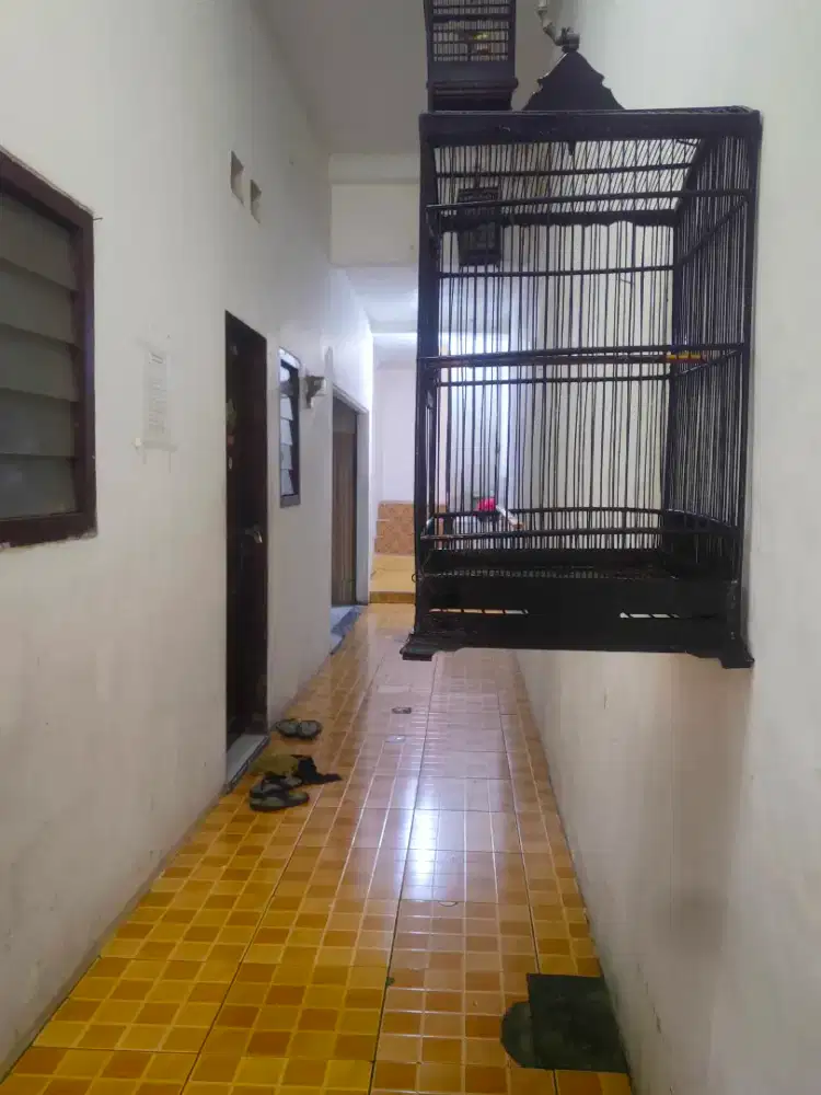 uk.40x40 murah AE wes