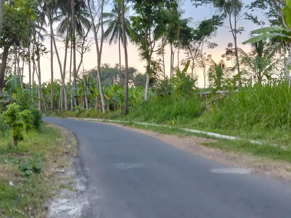 Tanah hook poros sidomulyo jabung malang