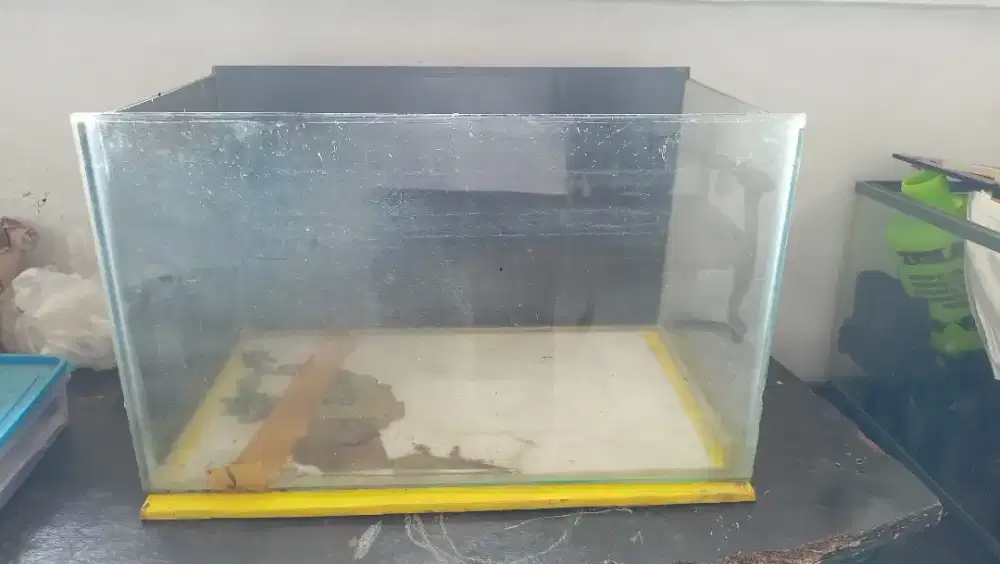 Aquarium UK 50x30x30