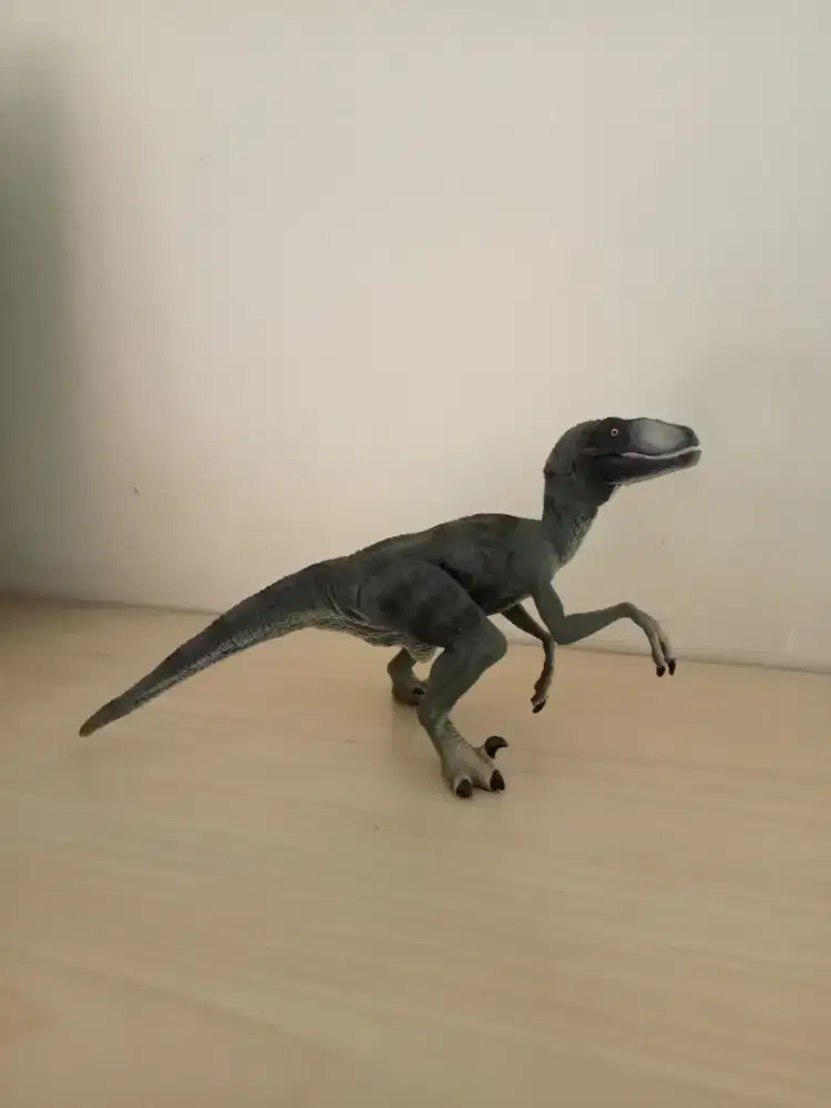 Dinosaurus raptor