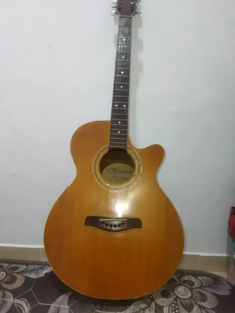 Gitar Brunswick CO-200 B&M London