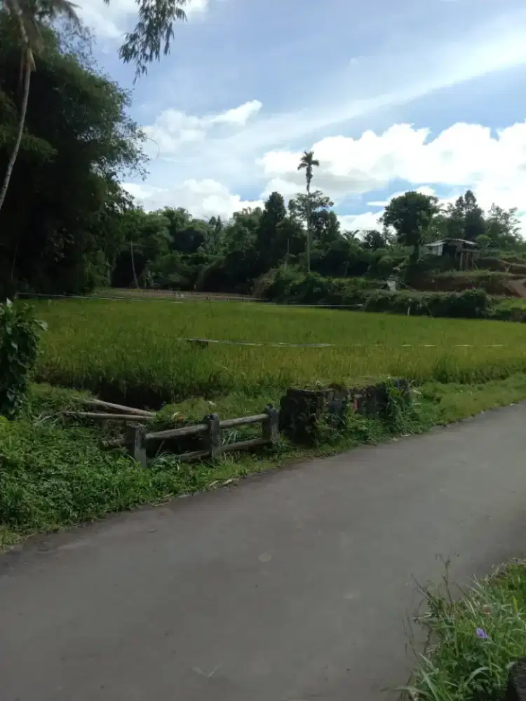 Tanah murah pinggir jalan