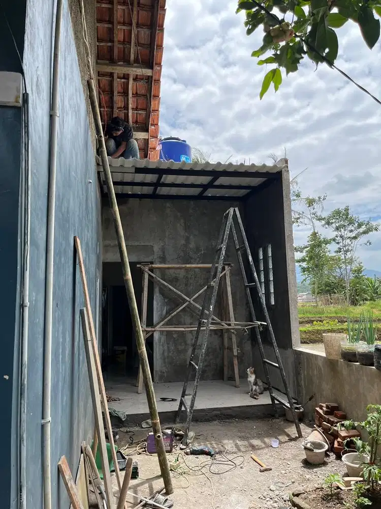 Canopy alderon dobel07