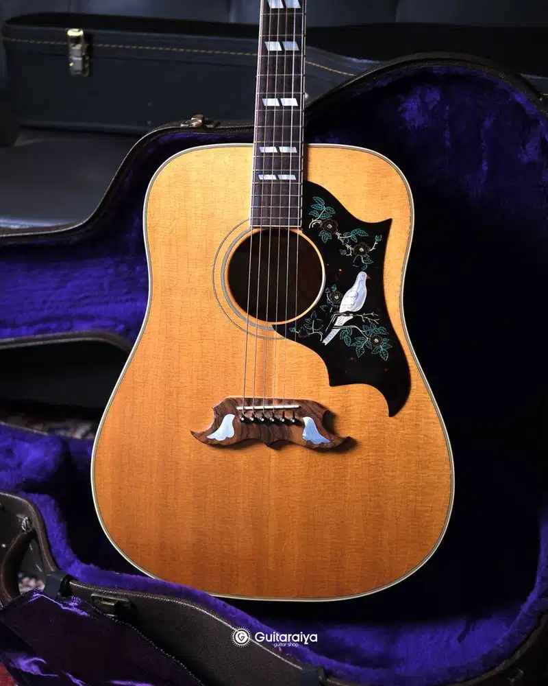 Gitar akustik Gibson Dove USA 1995