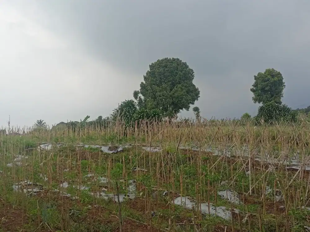 Kavling 1jt-an Lokasi Strategis Di area Wisata Diskon 25jt