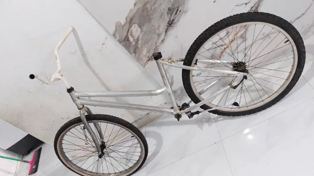 Bahan commuter bike Alloy