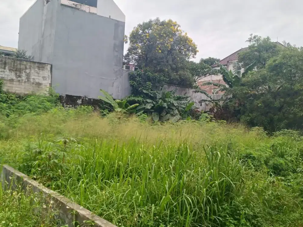 5 Menit Universitas Budi Luhur Tanah Kavling Murah Free SHM