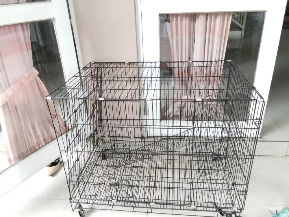 Kandang kucing Jumbo