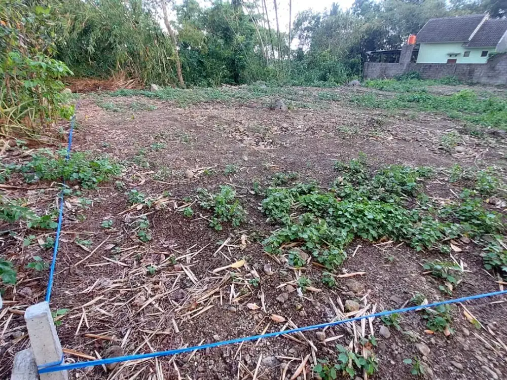 Kavling SHM Pekarangan Matang, Siap Bangun di Triharjo.