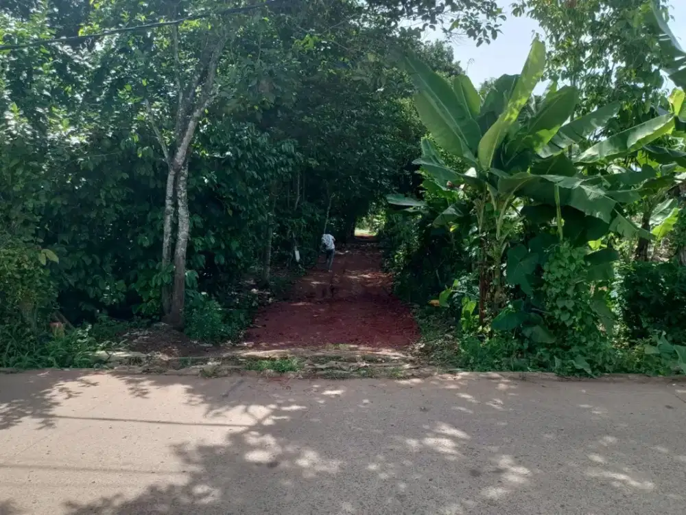 Dijual Murah Tanah Kavling 10 Menit Stasun Parung Panjang Free SHM