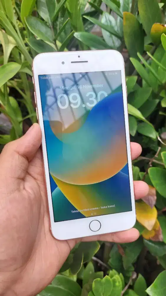 iPhone 8 Plus 256Gb ex Inter
