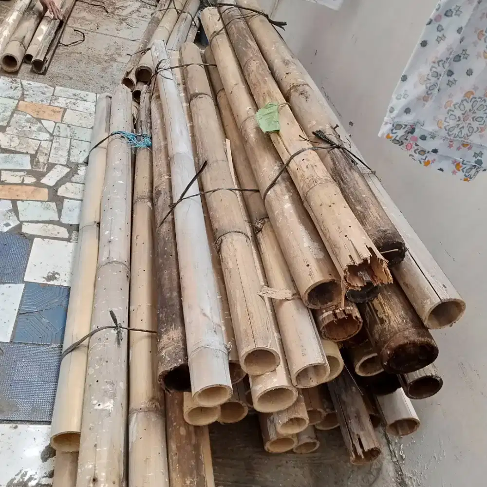 Bambu bekas untuk kayu bakar