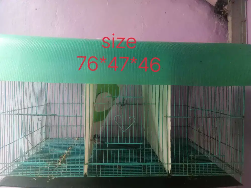 sangkar kotak besi super jumbo