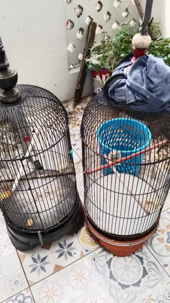 Jual kandang bulat besi