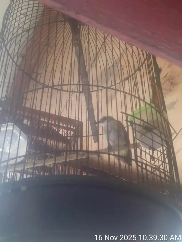 JUAL SANTAI SAMBIL NGOPI...