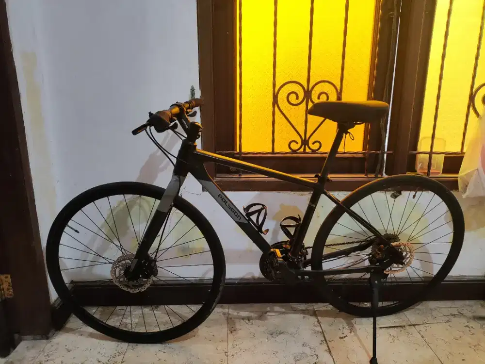 Sepeda Polygon path 3