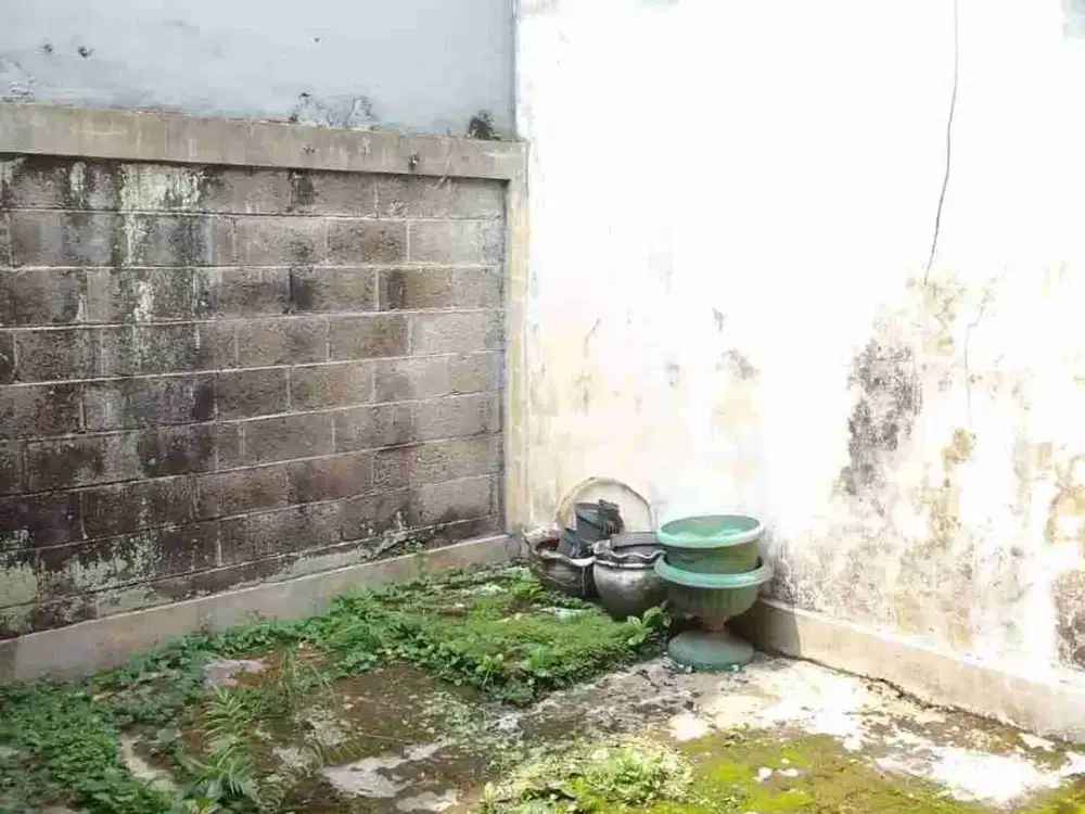 Dijual rumah murah nego, cluster taman victoria sentul city