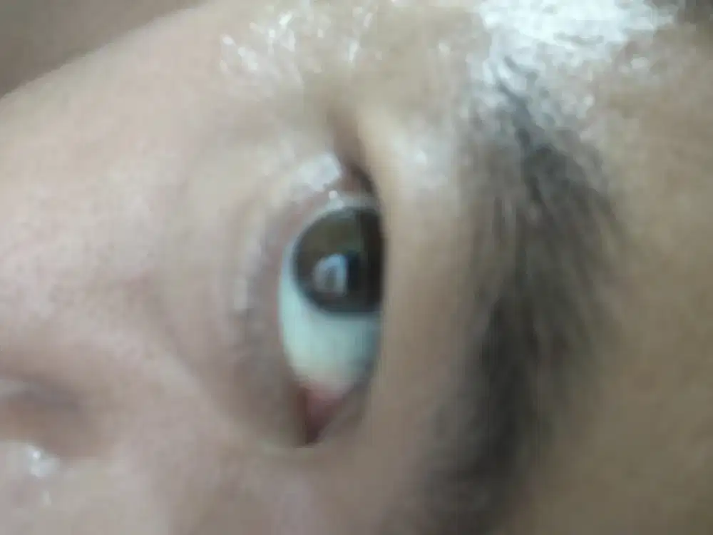 Saya Mencari Pekerjaan