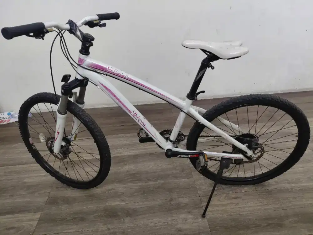 Sepeda Polygon Celine 2.0