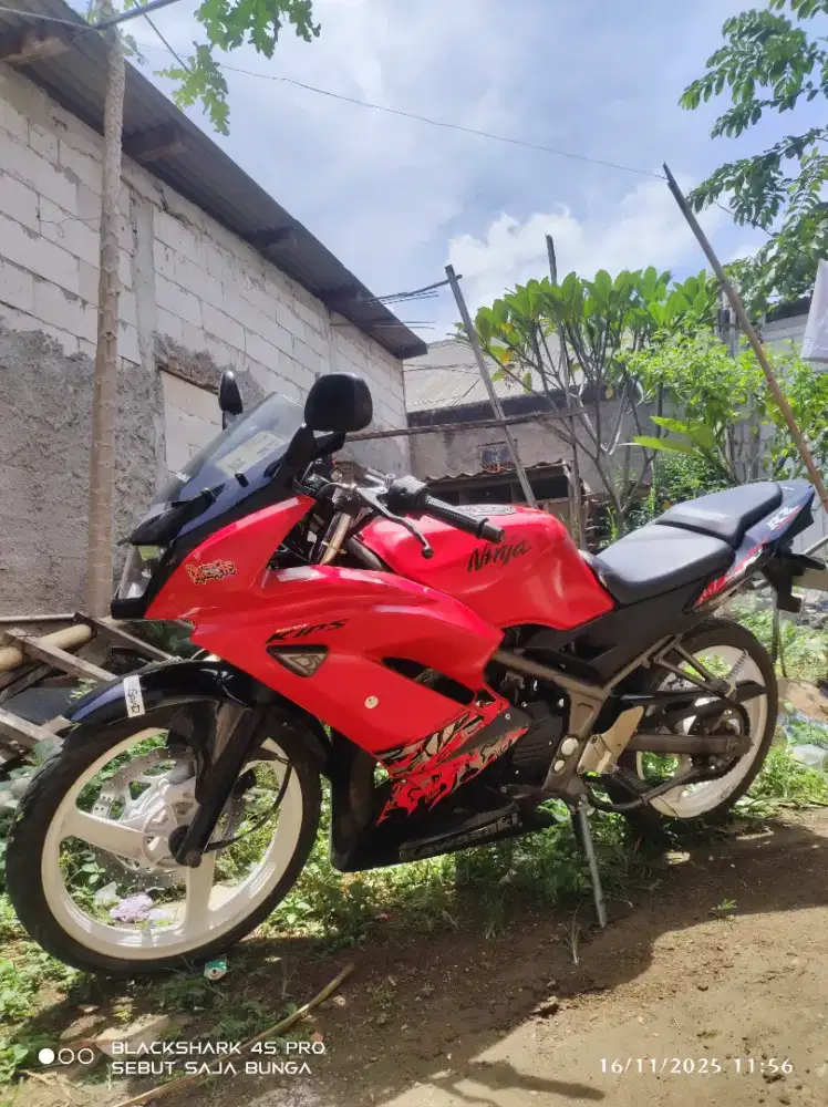 NINJA RR 2013 KAWASAKI