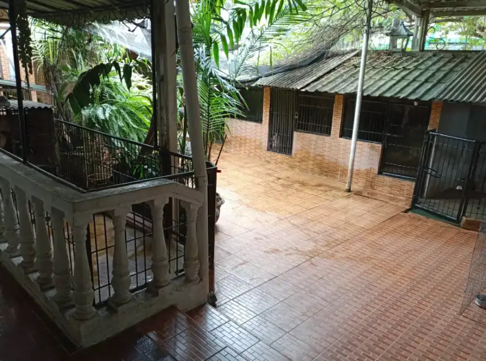 Penitipan anjing nuansa asri di Bintaro Jakarta Selatan.