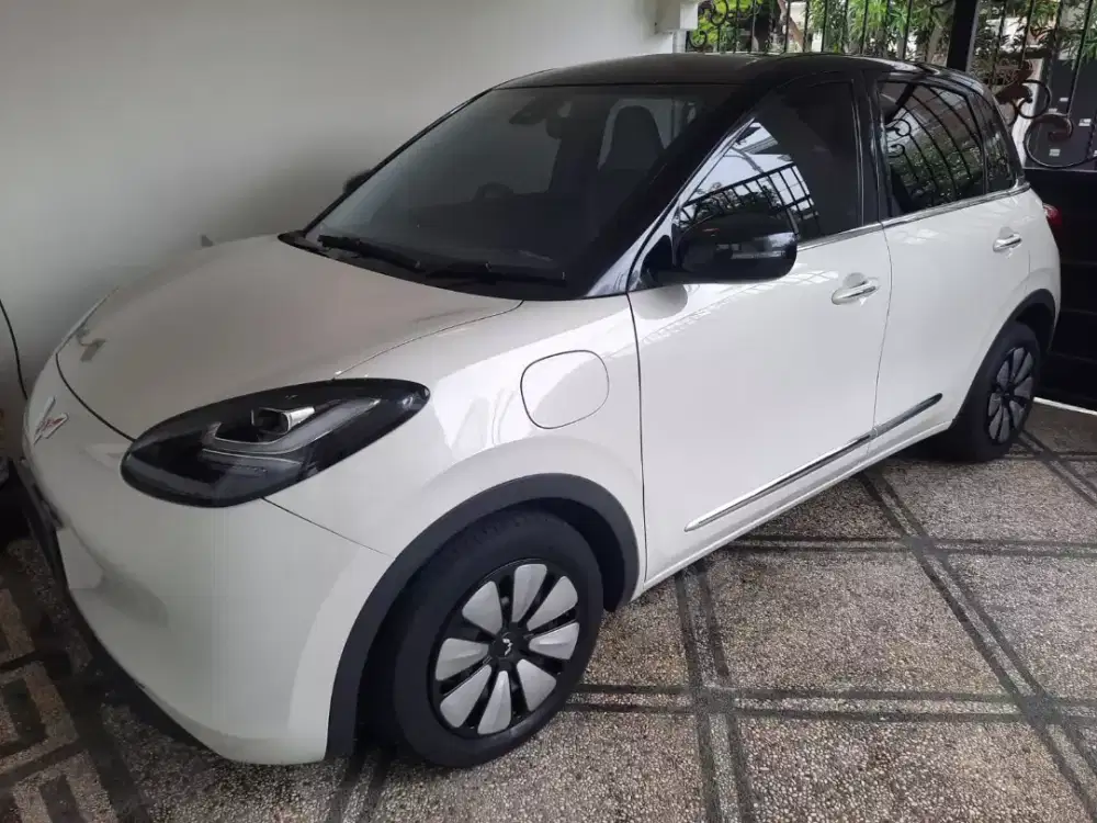 BINGUO LONG RANGE SEPERTI BARU