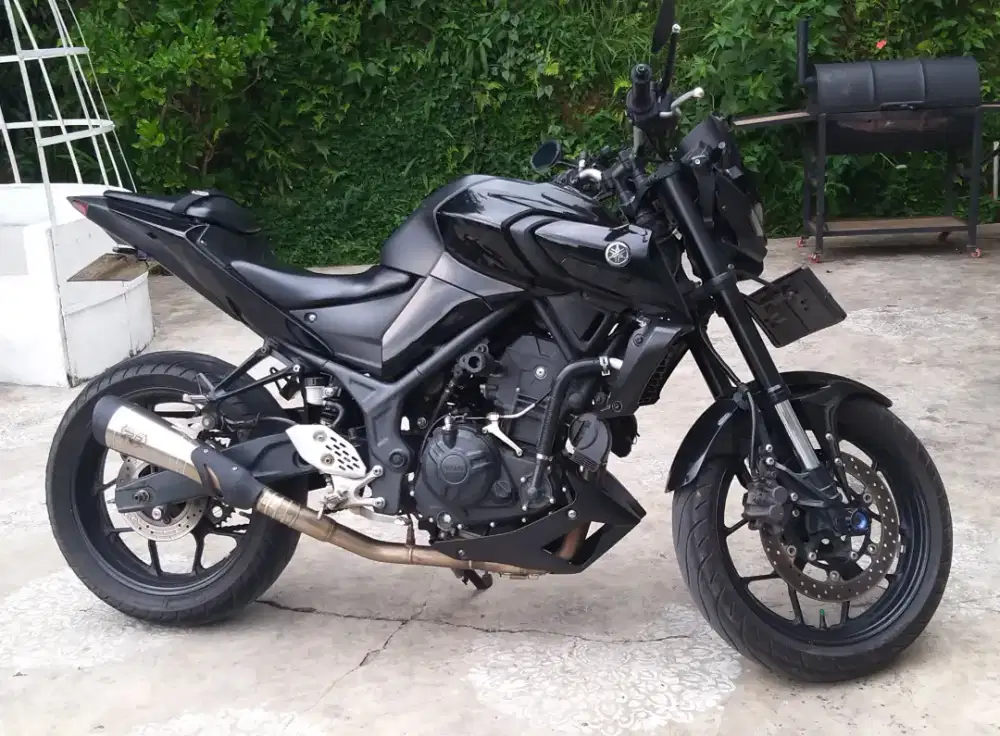 Yamaha mt25 new