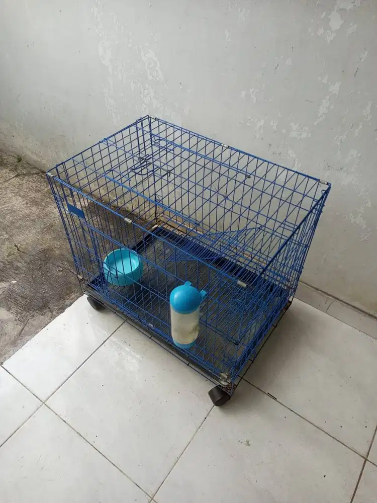 Kandang kelinci atau kucing ukuran besar