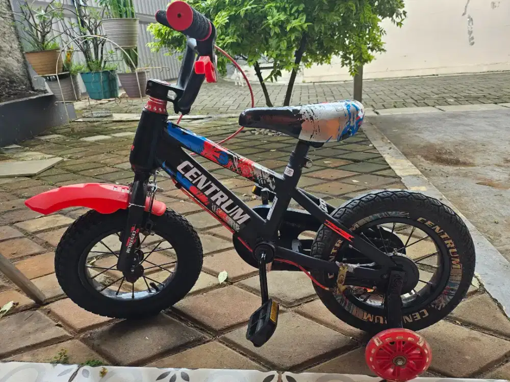 Sepeda anak laki-laki