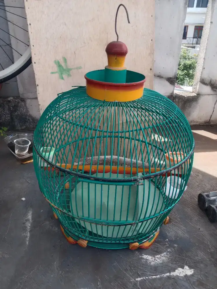 Kandang burung puter