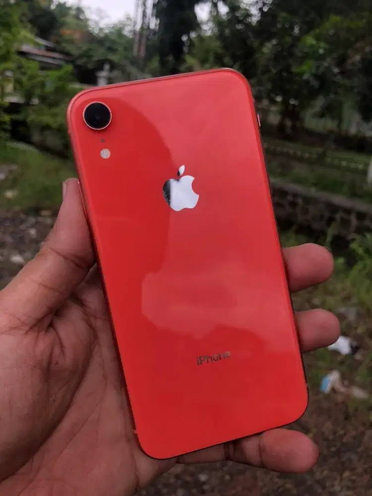 Xr 128 inter all op bh 84%