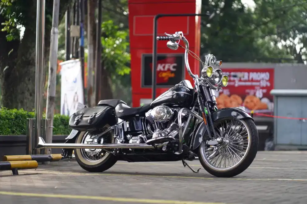 Harley Davidson Springer Classic 2006 (last Springer) colector item