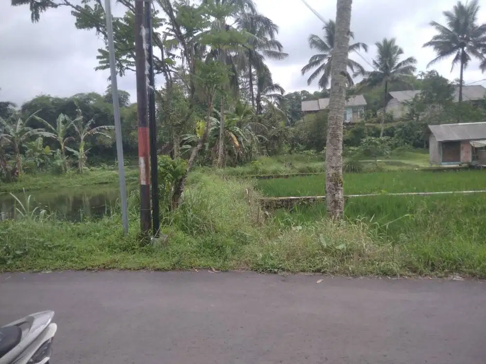 Di Jual Murah Tanah pinggir jalan Raya