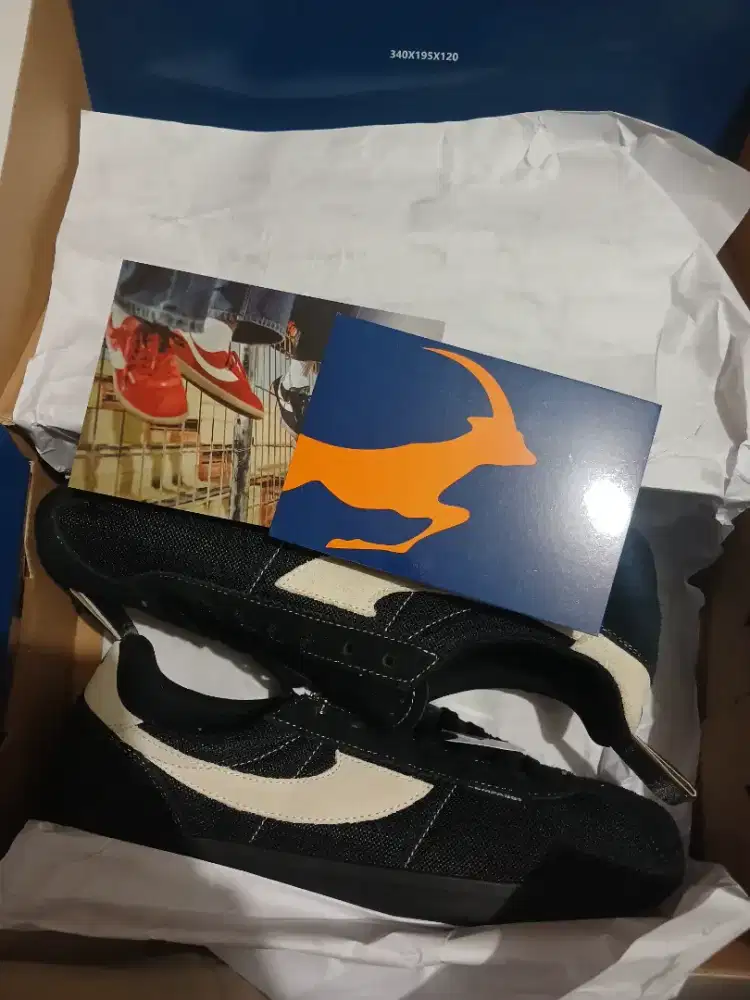 Compass tribune shadow